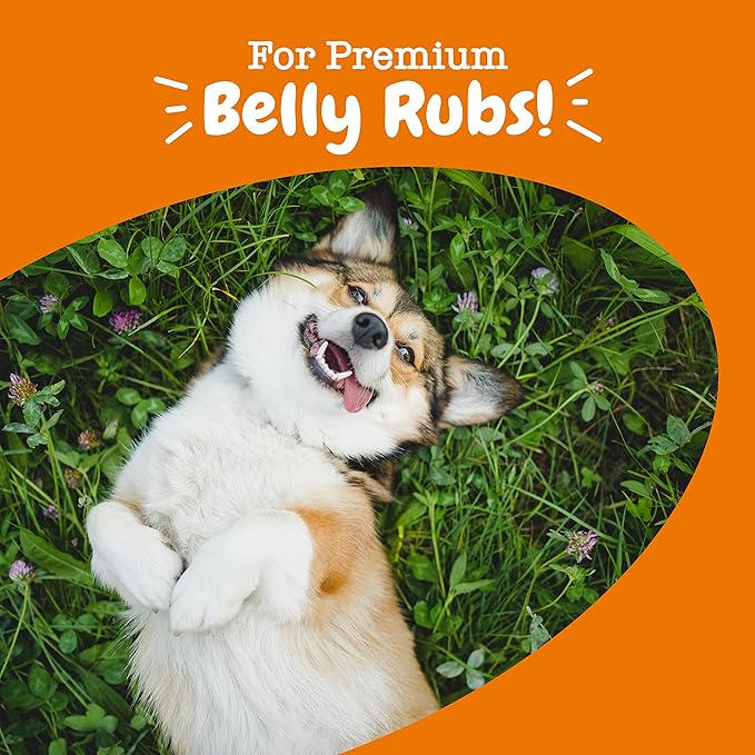 Zesty Paws Probiotics for Dogs, Digestive Enzymes Gut Flora, Digestive Health, Diarrhea & Bowel Support, DE111, Dog Probiotics Soft Chew for Pet Immune System, Chicken, 90 Ct