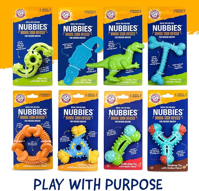 Arm & Hammer for Pets Nubbies Dental Toys T-Rex Dental Chew Toy for Dogs Best Dog Chew Toy for Moderate Chewers Reduces Plaque & Tartar Buildup Without Brushing, Mint Flavor (Pack of 24)