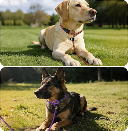 FOVRLZSE Nylon Dog Leash 5-Pack (Red/Black/Blue/Brown/Purple), 4.6FT Training Leash for Small to Medium Dogs, 10mm Braided Nylon with TPU Non-Slip Buckle, Daily Walking & Puppy Training