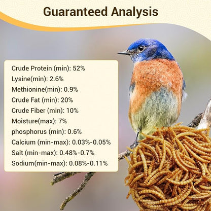 Dried Mealworms, High-Protein Bulk Mealworms 22Lbs, 100% Non-GMO Mealworm Treats for Birds, Chickens, Turtles, Fish, Hamsters and Hedgehogs All Natural Animal Feed