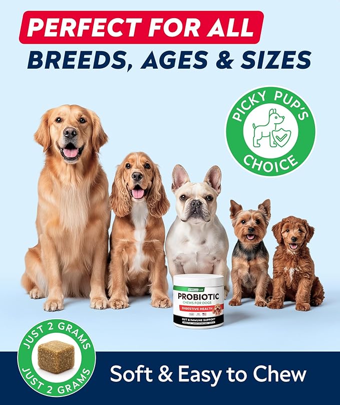 STRELLALAB Dog Probiotics Chews + Enzymes Gut Health Support - Anti Gas, Diarrhea and Upset Stomach Immune Supplement - Digestion Treats with Fiber (180Ct, Chicken)
