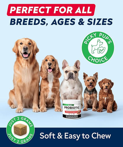 STRELLALAB Dog Probiotics Chews + Enzymes Gut Health Support - Anti Gas, Diarrhea and Upset Stomach Immune Supplement - Digestion Treats with Fiber (180Ct, Chicken)