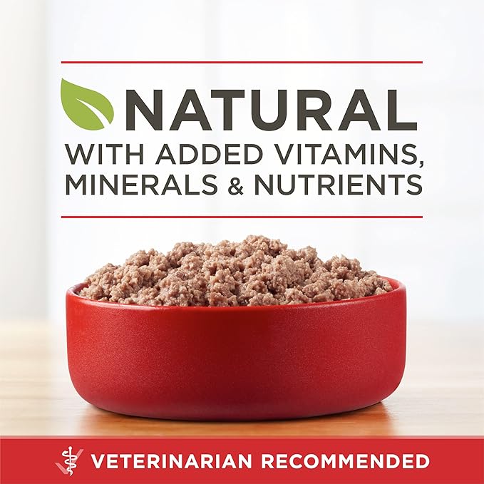 Purina ONE Wet Dog Food True Instinct Classic Ground Grain-Free Formula With Real Beef and Bison High Protein Dog Food - (Pack of 12) 13 oz. Cans