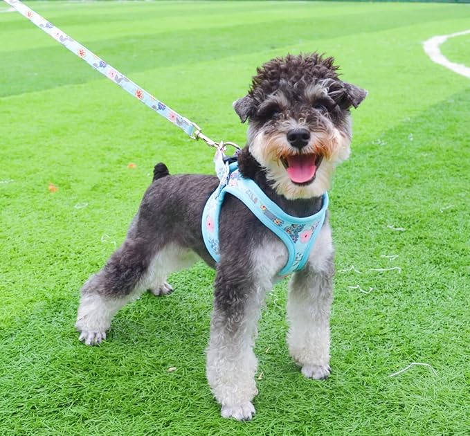 Moonpet Step in Dog Harness Leash Set- All Weather Reflective No-Pull Floral Pattern Padded Mesh Vest Harness for Cats Puppy Extra-Small Small Medium Large Dogs - Bell Orchid - XS