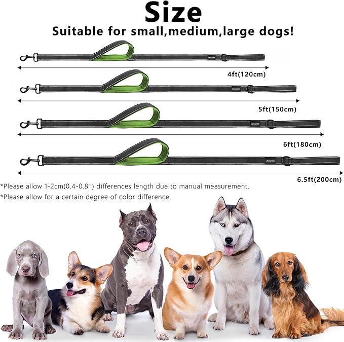 Dog Leash 6.5ft Long, Double Handle Dog Leash for Safety Control Training, Heavy Duty Dog Leads with Traffic Padded Handles, Reflective Leash for Small Medium Large Dogs(6.5ft, Black Green)