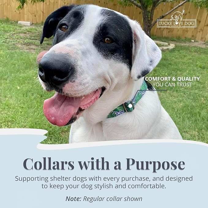 Lucky Love Dog Martingale Collar, Premium No Slip Martingale Collar for Medium Boy Dogs, Great for Whippets, Greyhounds, and More (Medium, Blue Laguna)