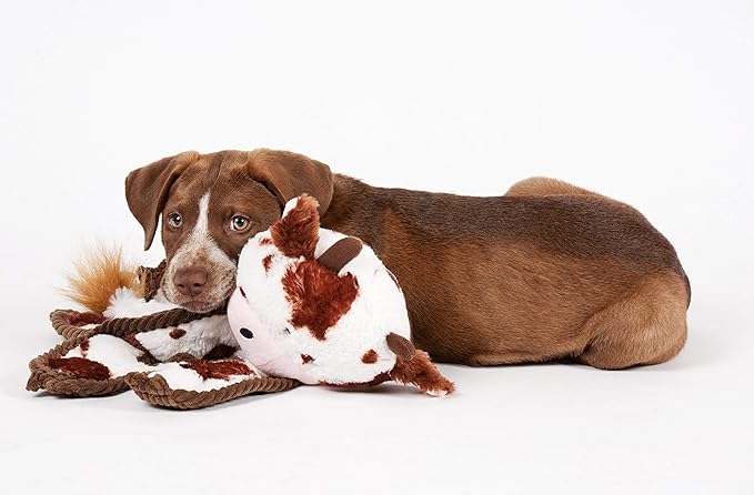 Outward Hound by Charming Pet Cuddle Tugs Bunny Plush Squeaky Dog Toy
