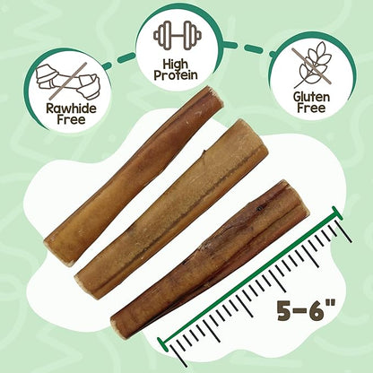 Nature Gnaws Extra Large Bully Sticks for Dogs 5-6" (6 Count) - Thick Long Lasting for Aggressive Chewers and Heavy Chewers - Natural Beef Dog Chew Bones