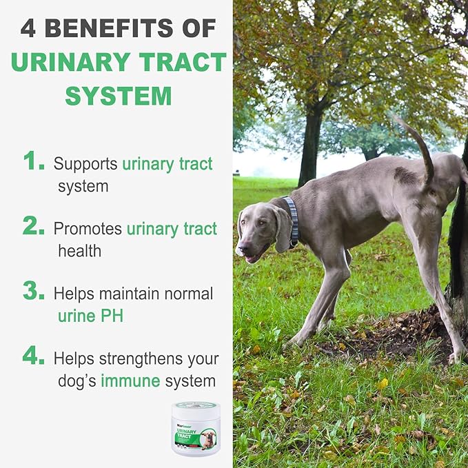 MARIMER Urinary Tract Support for Dogs – Cranberry, D-Mannose, Marshmallow Root & Vitamin C – Soft Chews for Bladder & Kidney Health – Chicken Flavor – 100 Count – for Dogs