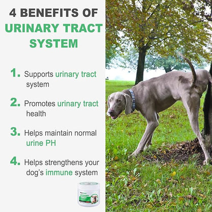 MARIMER Urinary Tract Support for Dogs – Cranberry, D-Mannose, Marshmallow Root & Vitamin C – Soft Chews for Bladder & Kidney Health – Chicken Flavor – 100 Count – for Dogs
