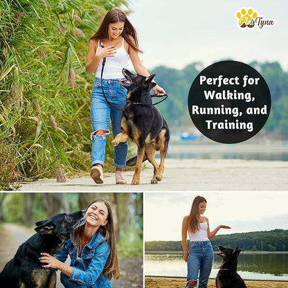 ADITYNA - Double Handle Leather Dog Leash 6ft - Heavy Duty Braided Dog Leash with Traffic Handle - Lead for Training and Walking Medium Large Breeds (Black, Two Handles 6 Foot x 5/8")