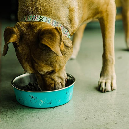 Loving Pets Bella Dog Bowls- Stainless Steel Dog & Cat Bowls - Spill Proof Dog Food Bowl, Cat Bowl, Puppy Essentials & Pet Supplies Great for Home & Travel (Small 10-20 lbs, Dragonfly)