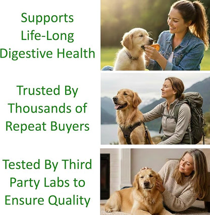TummyWorks Probiotics for Dogs and Cats. 160 Scoops Probiotic Powder for Digestive Health, Gut, Immunity, Energy, Skin & Coat. 10 Strains, 5 Billion CFUs with 6 Enzymes & Prebiotics. Made in USA.