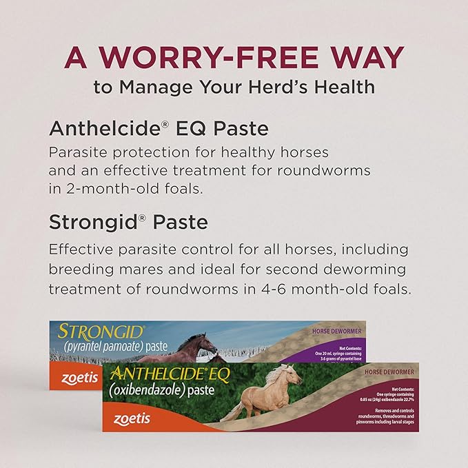 Anthelcide EQ Paste (oxibendazole) Dewormer for Horses, Broad-Spectrum Parasite Treatment, 0.85 oz Syringe