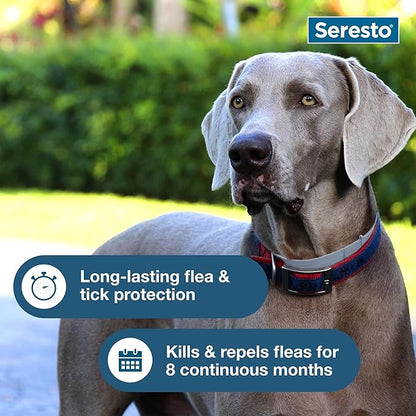 Seresto Large Dog Vet-Recommended Flea & Tick Treatment & Prevention Collar for Dogs Over 18 lbs. | 2-Pack