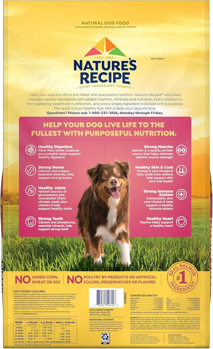 Nature's Recipe Grain Free Salmon, Sweet Potato & Pumpkin Recipe Dry Dog Food, 24 lb. Bag