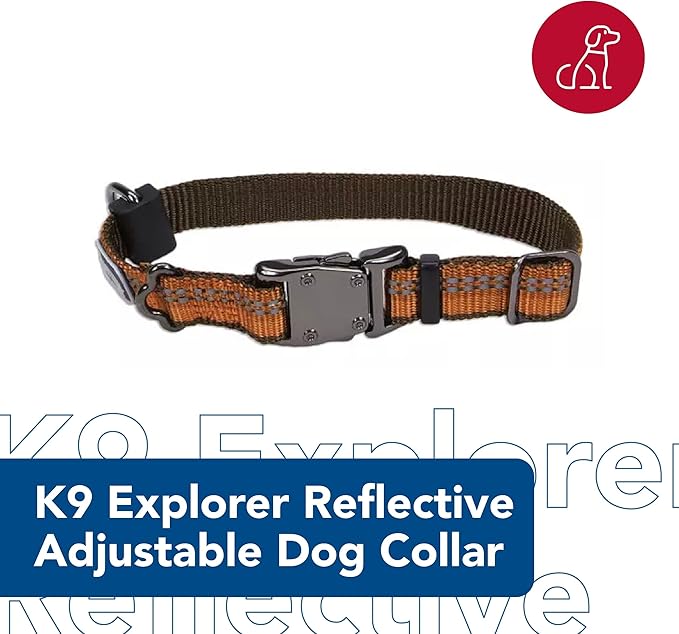 Coastal Pet K9 Explorer Reflective Adjustable Dog Collar - Comfortable Collar for the Outdoors - Durable, Lightweight Accessory with Side-Release Buckle - Campfire Orange, 1" x 18-26"