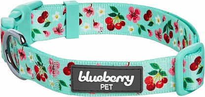 Cherry Garden Dog Collar with Dainty Flowers