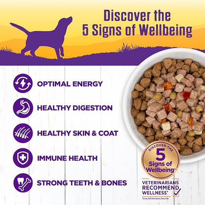 Wellness Complete Health Stew Adult Canned Wet Dog Food, Grain Free, Natural, Chicken Recipe, 12.5 oz, Pack of 12 Cans
