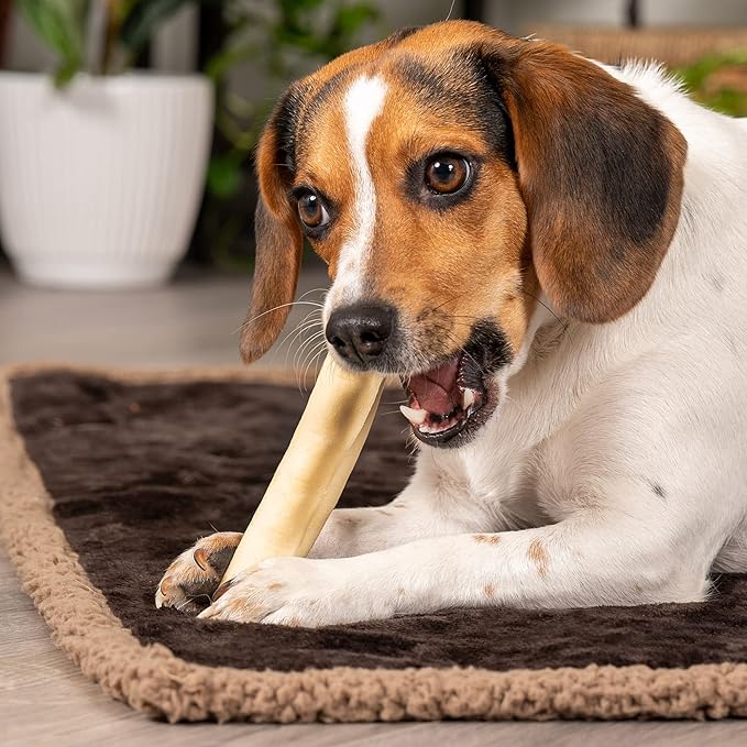 Pet Factory American Beefhide 5" Chip Rolls Dog Chew Treats - Natural Flavor, 50 Count/2 Pack