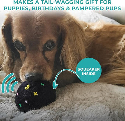 Haute Diggity Dog Chewy Vuiton Trunk Puzzle with 3 Plush Squeaky Dog Toys, Soft Durable Designer-Inspired Stuffed Puppy Chew Toys for Small & Medium Dogs, Machine-Washable (Black Monogram) One Size