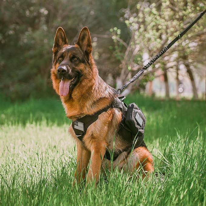 Forestpaw Tactical Dog Leash for Large Dogs,Heavy Duty Bungee Dog Leash with Shock Absorption,2 Padded Handles for Training Running Walking,Adjustable 4-5FT,Black