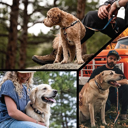 Wolfgang Heavy Duty Adjustable Dog Harness, Pull-Tested to Over 800 lbs for Walking & Training, Overland Print, Large