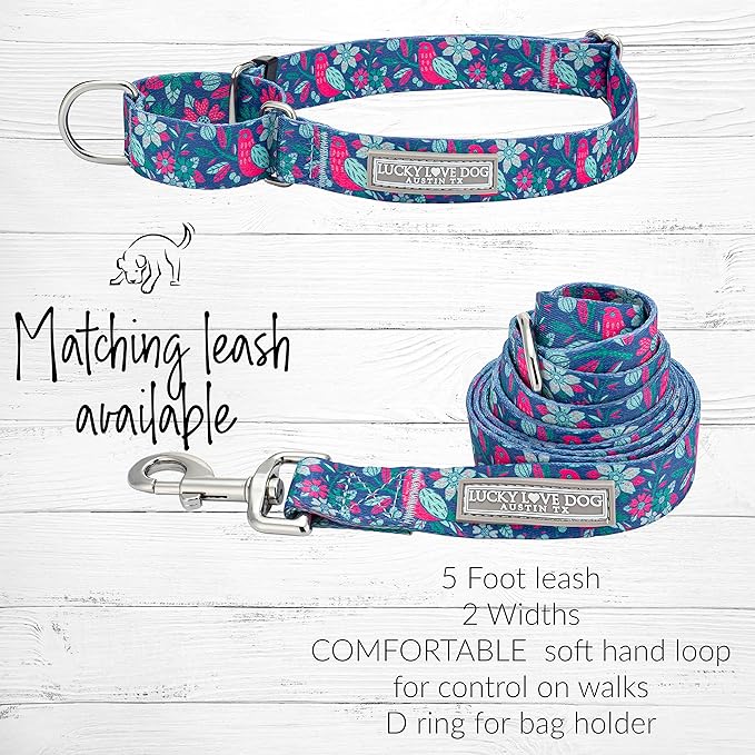 Lucky Love Dog Martingale Dog Collar - Adjustable, No-Slip, Comfortable, Durable, Soft Webbing & Stylish Patterned Collar for Male and Female Dogs Ideal for Training & Walking - Carriebelle, Medium