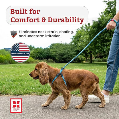 Harness Lead No Pull Dog Harness and Leash Set, Anti Pull Dog Harness, One-Piece Cushioned Rope Safely Prevents Escaping and Pulling (Medium/Large, Purple/Turquoise)