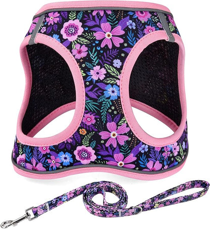 Mihqy Step in Dog Harness and Leash Set, Reflective Adjustable No Pull Dog Harness for Small Medium Dogs Puppy and Cats, Soft Padded Mesh Vest Harnesses for Girl and Boy Pets(Pink Floral,M)