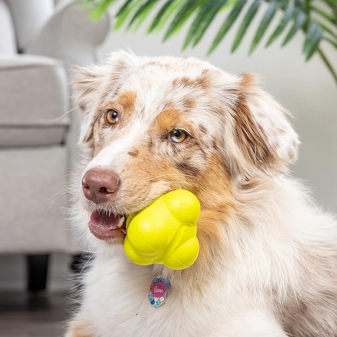 Hyper Pet Fetching Dog Toys - Throwing Bumpy Ball Dog Toy Made with EVA Foam - Lightweight & Floats on Water (Pack of 5)