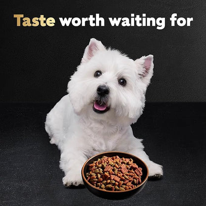 Cesar Small Breed Dry Dog Food for Small Dogs, Rotisserie Chicken Flavor and Spring Vegetables Garnish, 5 lb Bag