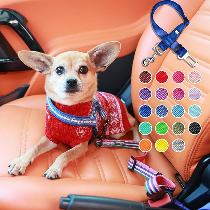 Blueberry Pet Dog Leash - Puppy Essentials & Heavy Duty Dog Leashes for Large Dogs, Safety Tether for Dogs & Cats, Very Berry, 2" W x 27.5" L, Festive & Durable for Pet Parents & Road Trips