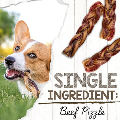Nature Gnaws Braided Bully Sticks for Dogs 5-6" (10 Count) - Long Lasting for Small and Medium Dogs - Natural Beef Dog Chew Bones - Rawhide Free