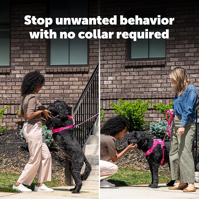 PetSafe Collarless Trainer – Ultrasonic Bark Deterrent – Handheld Anti Bark Device – High-pitched Sound, Flashing Light and Variable Tone – Rechargeable Battery – Flashlight – Wrist Strap