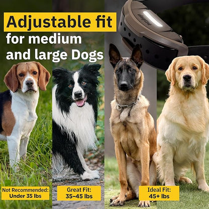 Dogtra 1900X E-Collar with Remote [New Edition] 35 lbs+, 3/4 Mile Range, LED Light, 100 Levels of Precise Control for Stubborn Dogs, Waterproof, Boost for Quick Recall, Vibration, Safety Lock & Tone