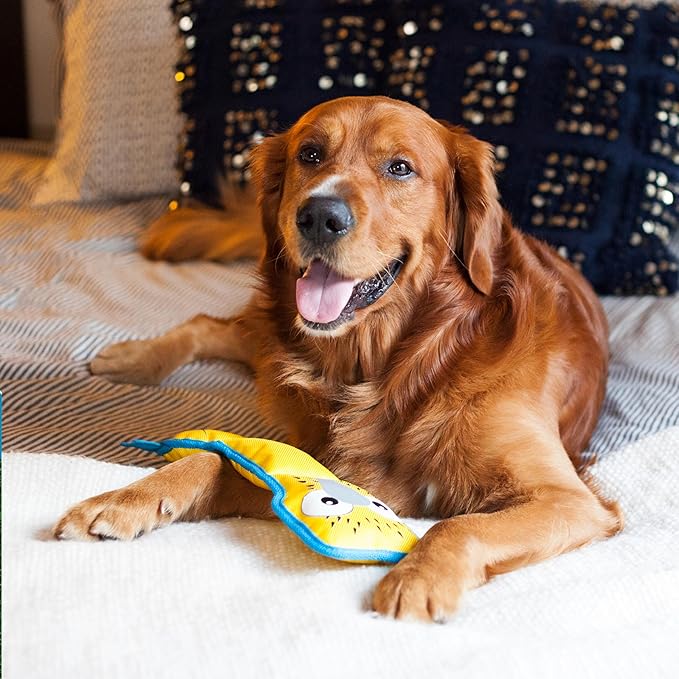 Outward Hound Fire Biterz Gecko Plush Firehose Material Interactive Dog Toy, Large