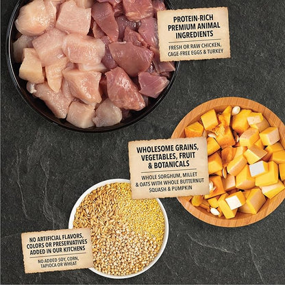 ACANA Wholesome Grains Dry Dog Food Puppy Recipe Real Chicken Eggs and Turkey 11.5lb Bag