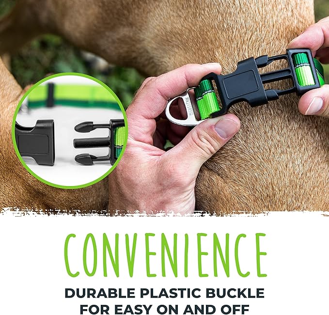 Mighty Paw Martingale Dog Collar 2.0 | Trainer Approved Limited Slip Collar with Stainless Steel Chain & Heavy Duty Buckle - Modified Cinch for Gentle & Effective Pet Training - S/M, Green