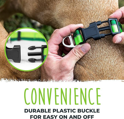 Mighty Paw Martingale Dog Collar 2.0 | Trainer Approved Limited Slip Collar with Stainless Steel Chain & Heavy Duty Buckle - Modified Cinch for Gentle & Effective Pet Training - Large, Green
