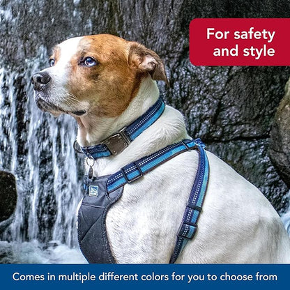 Coastal Pet K9 Explorer Reflective Adjustable Dog Collar - Comfortable Collar for the Outdoors - Durable, Lightweight Accessory with Side-Release Buckle - Berry, 5/8" x 8-12"