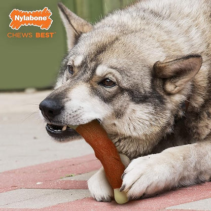 Nylabone Rib Bone Alternative Power Chew Toy for Dogs, Dog Toys for Aggressive Chewers, Beef Flavor, Large - Up to 50 lbs, 1 Count
