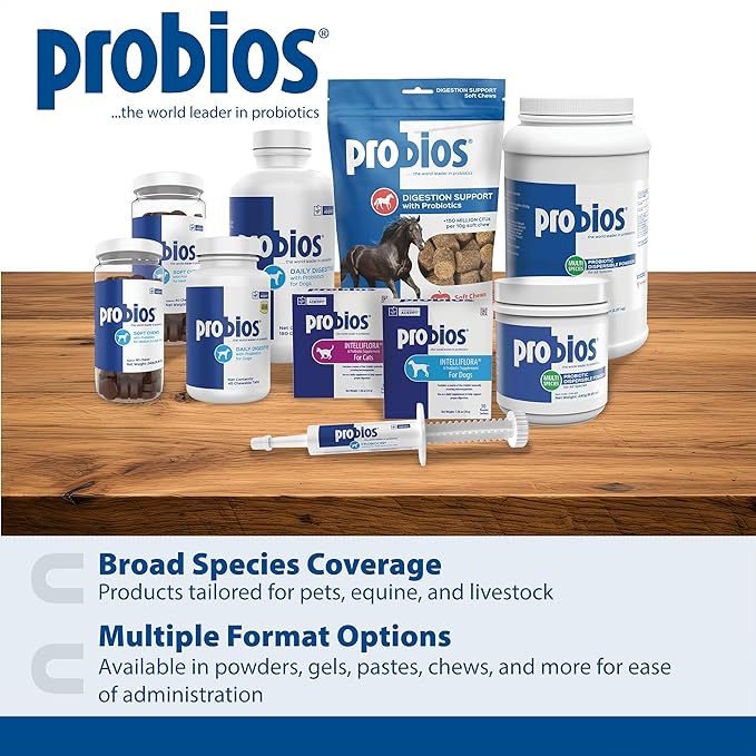 Probios Digestive Support Chewables for Dogs, Daily Probiotic Supplement for Gut Health, Digestion & Immune Support, 1 lb (Pack of 2)
