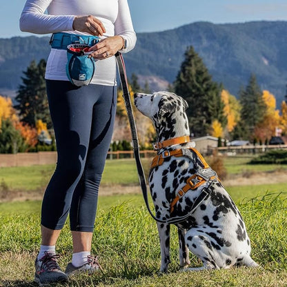 PetSafe 3 in 1 Dog Harness - No Pull Solution for Dogs - Reflective Dog Harness - Front D-Ring Clip Helps Stop Pulling - Comfortable Padded Straps - Top Handle Enhances Control - Black - Extra Small