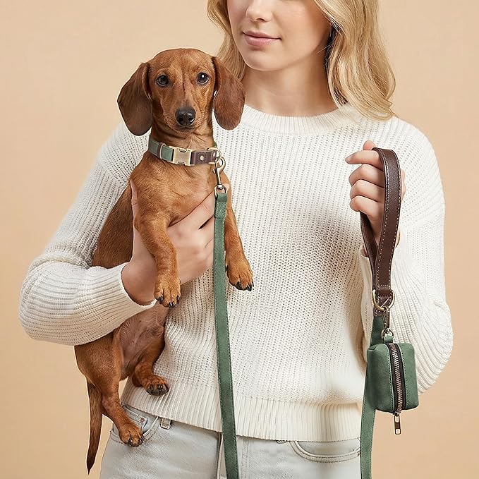 Didog Soft PU Leather Dog Collars for Small Dogs,Classic Adjustable Dog Collars with Quick Release Metal Buckle,Easy Clean and Comfortable with Nylon Lining,Green,S Neck 11-15"