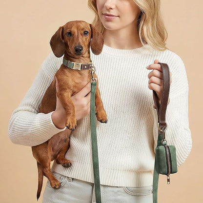 Didog Soft PU Leather Dog Collars for Small Dogs,Classic Adjustable Dog Collars with Quick Release Metal Buckle,Easy Clean and Comfortable with Nylon Lining,Green,S Neck 11-15"