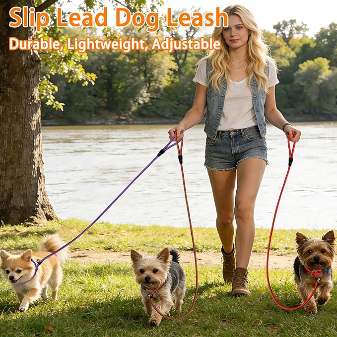 FOVRLZSE Nylon Dog Leash 5-Pack (Red/Black/Blue/Brown/Purple), 4.6FT Training Leash for Small to Medium Dogs, 10mm Braided Nylon with TPU Non-Slip Buckle, Daily Walking & Puppy Training
