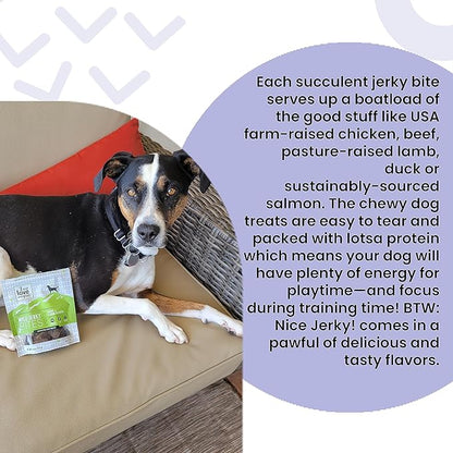 I AND LOVE AND YOU Nice Jerky Bites - Chicken + Salmon - Grain Free, Real Beef, Training Treat, Chewy Dog Treats, Filler Free, 4oz (Pack of 2)