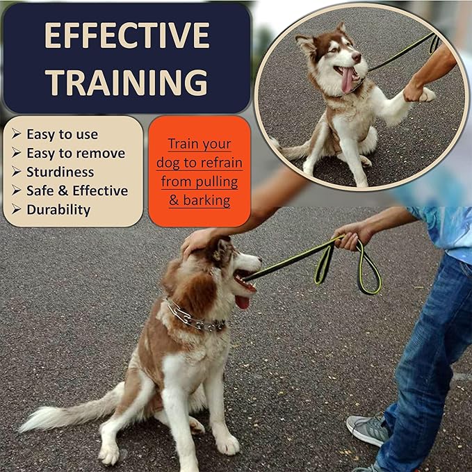 DEYACE Quick Release Dog Training Collar Adjustable Stainless Steel Collar for Small Medium Large Dog (Pink, M/L Neck Girth 14.5"-18.6")