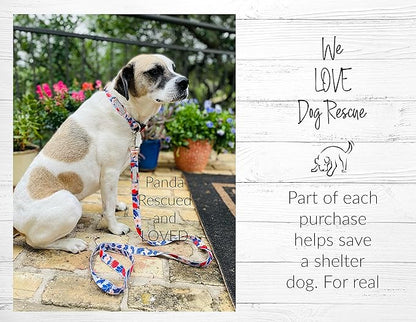 Lucky Love Dog Martingale Collar, Premium Fun Girl No Slip Collars, Strawberry Martingale Medium Dog Collar, Great for Whippets, Greyhounds, and More (Sweet Berry, Medium)